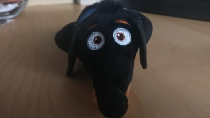 Hund Dotti - Stofftier Familienhund