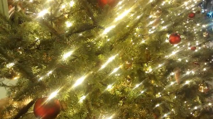 Merry Christmas - Frohe Weihnachten Trennungsväter