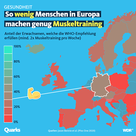 muskeltraining europa