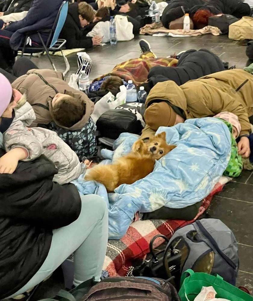 Flüchtende Ukrainer schlafen auf einem Bahnhof