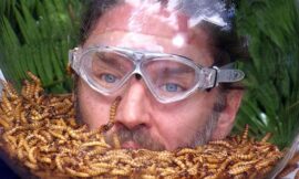 Gil Ofarims Kampf im Dschungelcamp aus männlicher Sicht