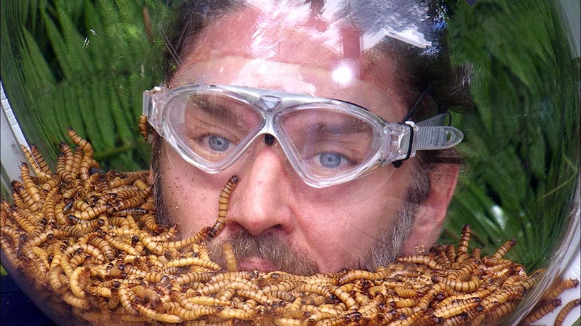 Du betrachtest gerade Gil Ofarims Kampf im Dschungelcamp aus männlicher Sicht